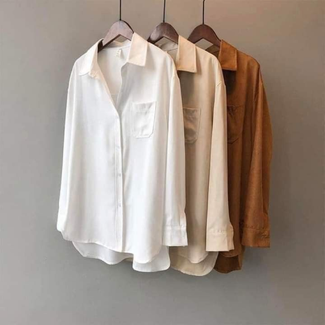 Shirts Collection